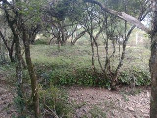 Foto 20 de Terreno en  La Caldera - Campo Alegre