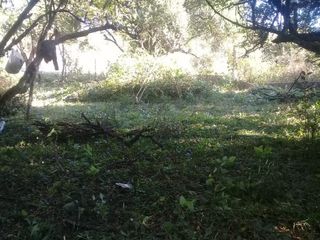 Foto 8 de Terreno en  La Caldera - Campo Alegre