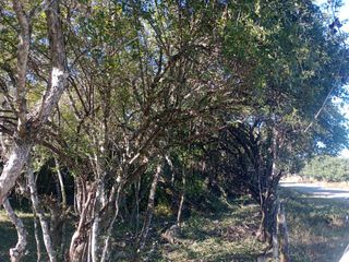 Foto 16 de Terreno en  La Caldera - Campo Alegre