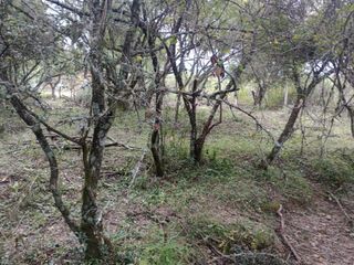 Foto 15 de Terreno en  La Caldera - Campo Alegre