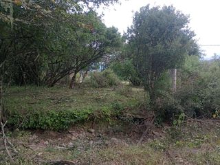 Foto 6 de Terreno en  La Caldera - Campo Alegre