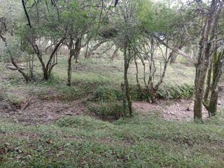 Foto 3 de Terreno en  La Caldera - Campo Alegre