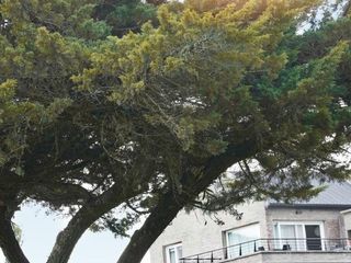 Foto 40 de Departamento - Raco
