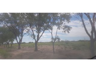 Foto 4 de VENDE – FINCA DE 1.300 HAS, UBICADA EN LAS CATITAS, MENDOZA.