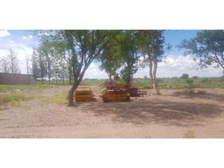 Foto 5 de VENDE – FINCA DE 1.300 HAS, UBICADA EN LAS CATITAS, MENDOZA.