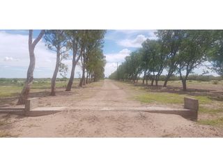 Foto 1 de VENDE – FINCA DE 1.300 HAS, UBICADA EN LAS CATITAS, MENDOZA.