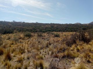 Foto 5 de Campo en La Cumbre