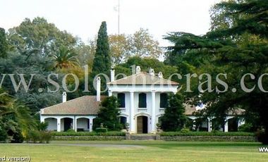 similar_image