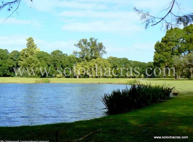 place photo 26
