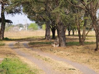 Foto 4 de Terreno - Pueblo Esther