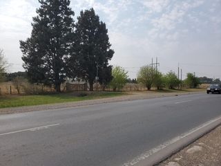 Foto 14 de Terreno - Pueblo Esther