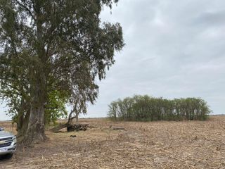 Foto 4 de Campo en Tacural