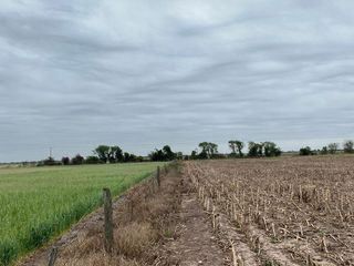 Foto 5 de Campo en Tacural