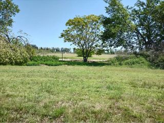 Foto 13 de Terreno en venta - 2.008mts2 - Santa Inés, Luján