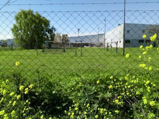 Foto 2 de Nave Industrial - Tigre