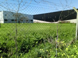 Foto 3 de Nave Industrial - Tigre