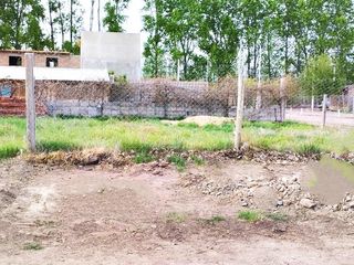 Foto 3 de Terreno en  Alquiler, San Patricio del Chañar