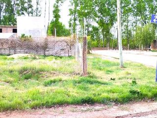 Foto 6 de Terreno en  Alquiler, San Patricio del Chañar