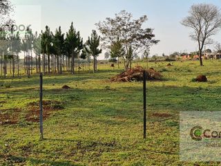 Foto 3 de SE VENDE QUINTA DE 5 HA con Casa en  Posadas. Misiones