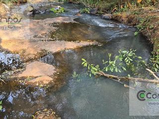 Foto 7 de SE VENDE QUINTA DE 5 HA con Casa en  Posadas. Misiones