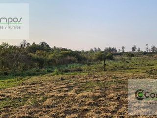 Foto 4 de SE VENDE QUINTA DE 5 HA con Casa en  Posadas. Misiones