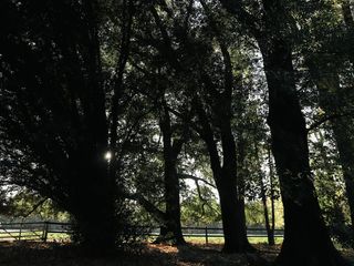 Foto 77 de REVENTA - LOTE Nº83 - ORIENTACIÓN OESTE