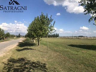 Foto 4 de VENTA Terreno - Haras del Sur III