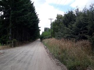 Foto 16 de Chacra - Las Golondrinas