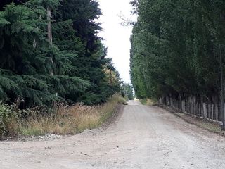 Foto 17 de Chacra - Las Golondrinas