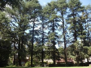 Foto 45 de Casa en Country Mi Campo