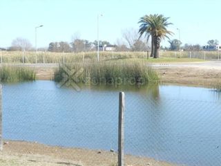 Foto 14 de MAROTO PROPIEDADES-VENDE -EL CANTON