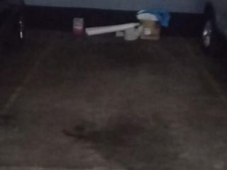 Foto 3 de 3 cocheras en conjunto