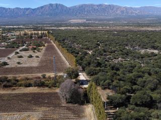 Foto 4 de Campo de 77 has En Venta