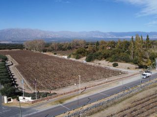 Foto 15 de Campo de 77 has En Venta