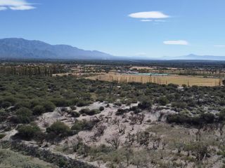 Foto 9 de Campo de 77 has En Venta