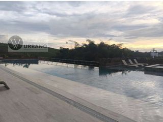 Foto 11 de APARTAESTUDIO en ARRIENDO en Pereira Pinares Alto