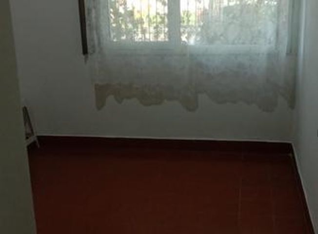 place photo 52