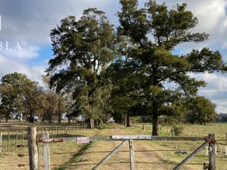 Foto 7 de Campo en San Miguel del Monte