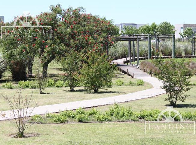 place photo 61