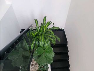 Foto 20 de Casa en venta en el sector la brisas Municipio de Sabaneta