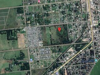 Foto 10 de Campo en venta - 14 Hectáreas - San Miguel del Monte