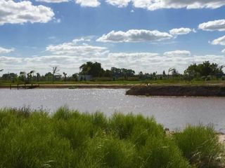 Foto 11 de Terreno en venta - 1000 mts2 - Campos de La Enriqueta