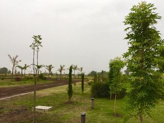 Foto 12 de Terreno en venta - 1000 mts2 - Campos de La Enriqueta