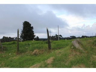 Foto 17 de Lote en Venta en Yarumal