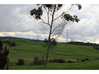 Foto 5 de Lote en Venta en Yarumal