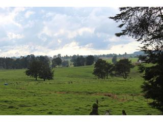 Foto 2 de Lote en Venta en Yarumal