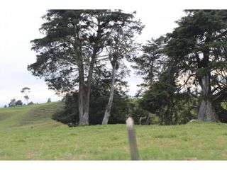 Foto 14 de Lote en Venta en Yarumal