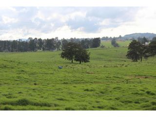Foto 3 de Lote en Venta en Yarumal