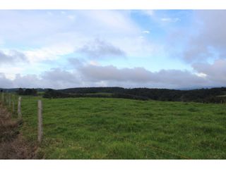 Foto 11 de Lote en Venta en Yarumal