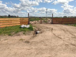 Foto 2 de Terreno en venta - 42.415Mts2 - San Miguel del Monte